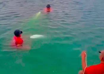 Cancún: encuentran sin vida a hombre que nadó ebrio en la laguna ABC