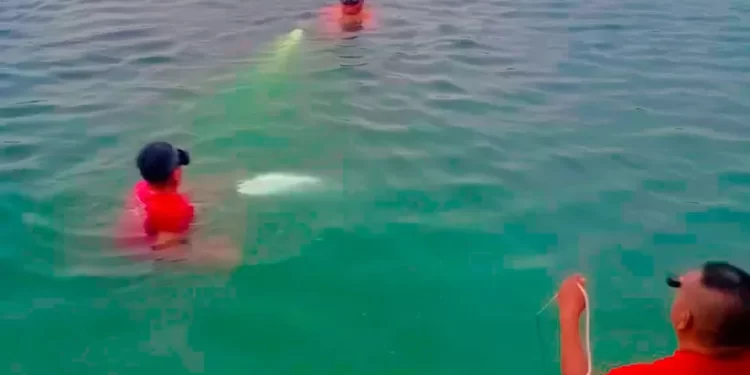 Cancún: encuentran sin vida a hombre que nadó ebrio en la laguna ABC