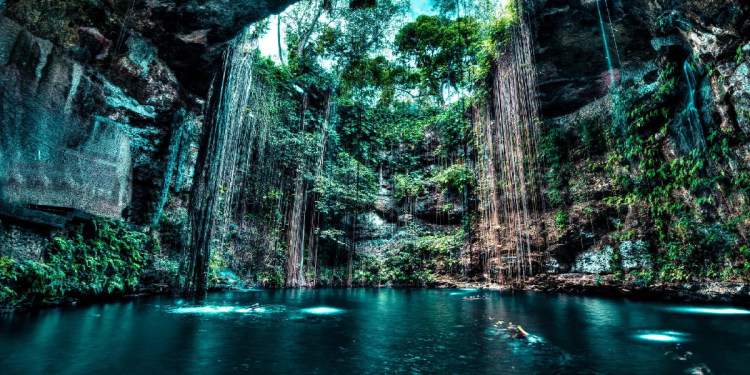 Vista aérea de un cenote con agua cristalina rodeado de vegetación