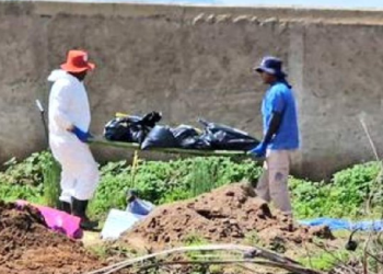 Forenses cargando bolsas con restos humanos en fosa clandestina en Jalisco