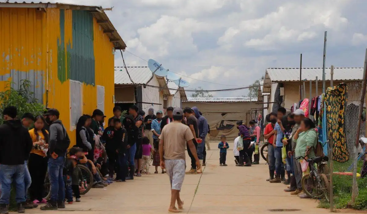 Adolescentes y niños víctimas de trabajo forzado en Guanajuato