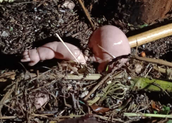 Juguete de bebé roto simbolizando tragedia en Zapopan