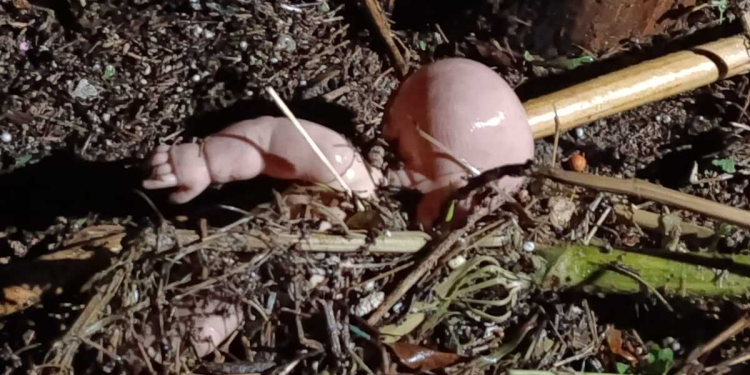 Juguete de bebé roto simbolizando tragedia en Zapopan