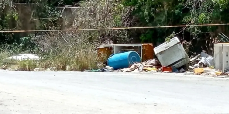 cadáver hallado en contenedor de basura en Cancún