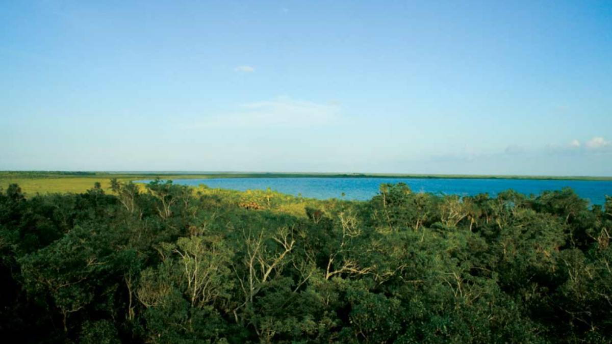Vacaciones de verano 2025 en Cancun para viajeros ecologicos