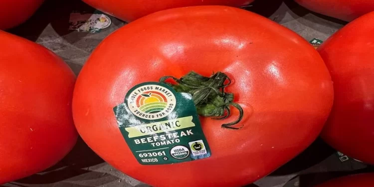 Aranceles al jitomate mexicano pondrán en riesgo la seguridad alimentaria, advierten productores