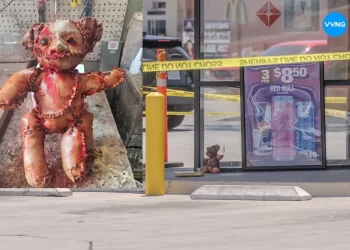 Hallan oso con aparente piel humana en Victorville