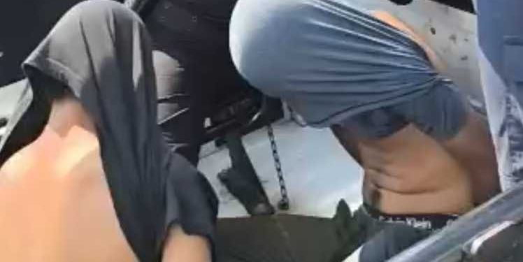 Perro protege a su dueño en pelea y recibe un disparo; capturan a dos hombres