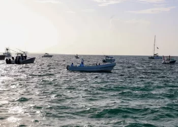 Pesca del mero en Quintana Roo sorprende con cifras reveladoras