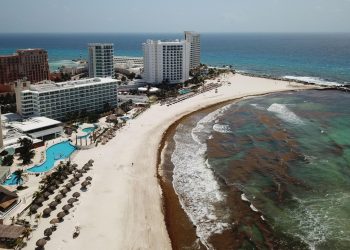 Playa de Cancún con gran acumulación de sargazo en la orilla durante la temporada alta.