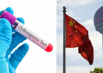 Brote de chikungunya en China enciende alertas sanitarias globales
