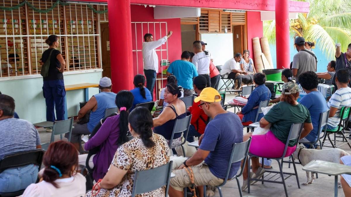 Objetivos y resultados de la campaña gratuita de esterilizacion en Cancun