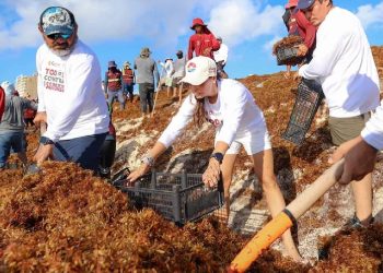 Ana Paty Peralta participa en limpieza de sargazo en Playa Delfines