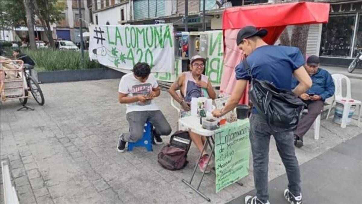 Que son los puntos 4 20 en la Ciudad de Mexico