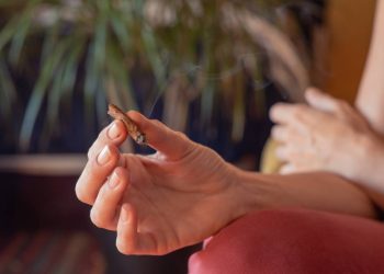 Reubican los puntos 4 20 en la Ciudad de Mexico tras denuncias por actividades ilegales