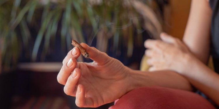 Reubican los puntos 4 20 en la Ciudad de Mexico tras denuncias por actividades ilegales