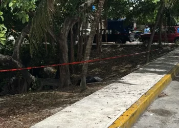 Localizan cuerpo embolsado junto a un cenote en la Región 100 de Cancún