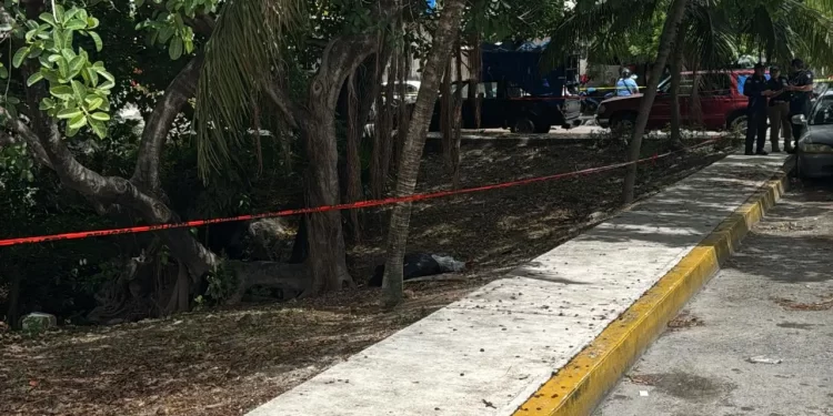 Localizan cuerpo embolsado junto a un cenote en la Región 100 de Cancún