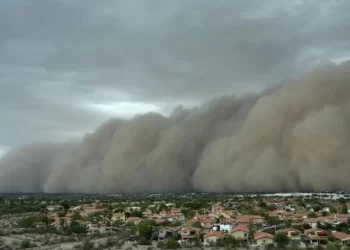 Tormenta de arena en Phoenix deja a miles sin luz