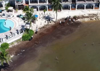 Ocupación pesquera en Playa del Carmen sigue a la baja