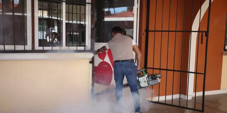 Alerta en Q. Roo: repunta el dengue y zika por lluvias