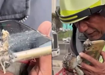Celular quemado en explosión de Iztapalapa ayudó a localizar a familiares de alumna de la UNAM
