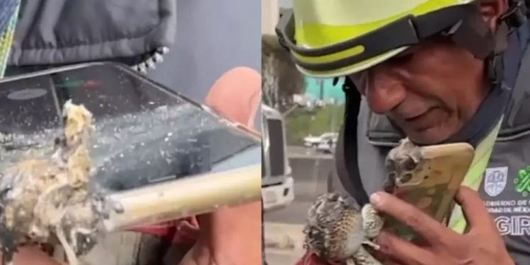 Celular quemado en explosión de Iztapalapa ayudó a localizar a familiares de alumna de la UNAM