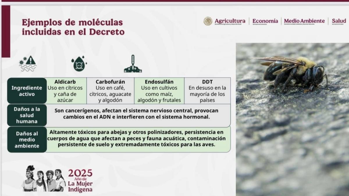 Principales plaguicidas prohibidos y sus riesgos