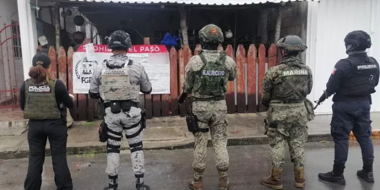 Cateos en Cozumel terminan con cuatro detenidos y drogas aseguradas