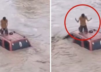 “¡Alguien que lo ayude!” Hombre queda atrapado sobre su camioneta tras el desbordamiento del río Cazones en Veracruz [VIDEO VIRAL]