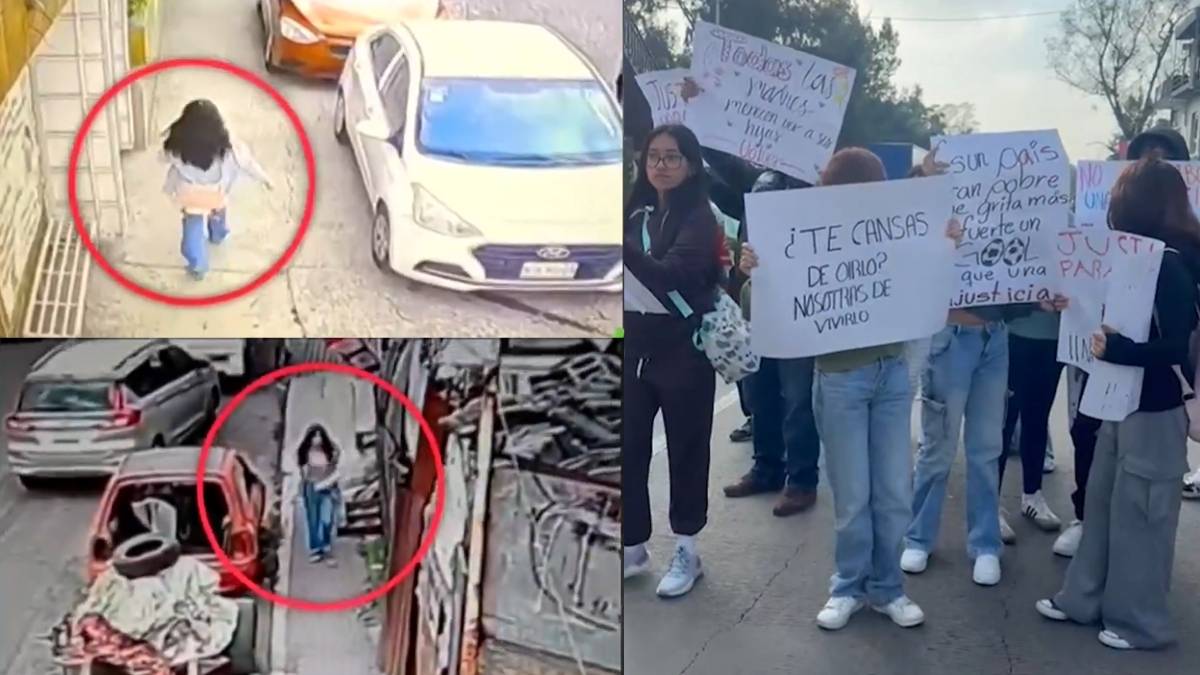 Como colaborar con la busqueda