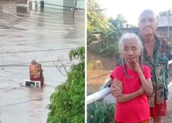 Doña Elodia muere tras la inundación en Poza Rica y conmueve al país
