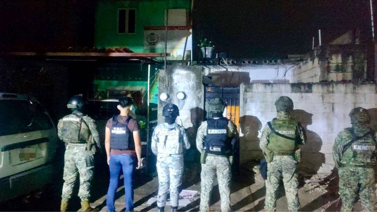 Detalles del cateo en Othon P Blanco