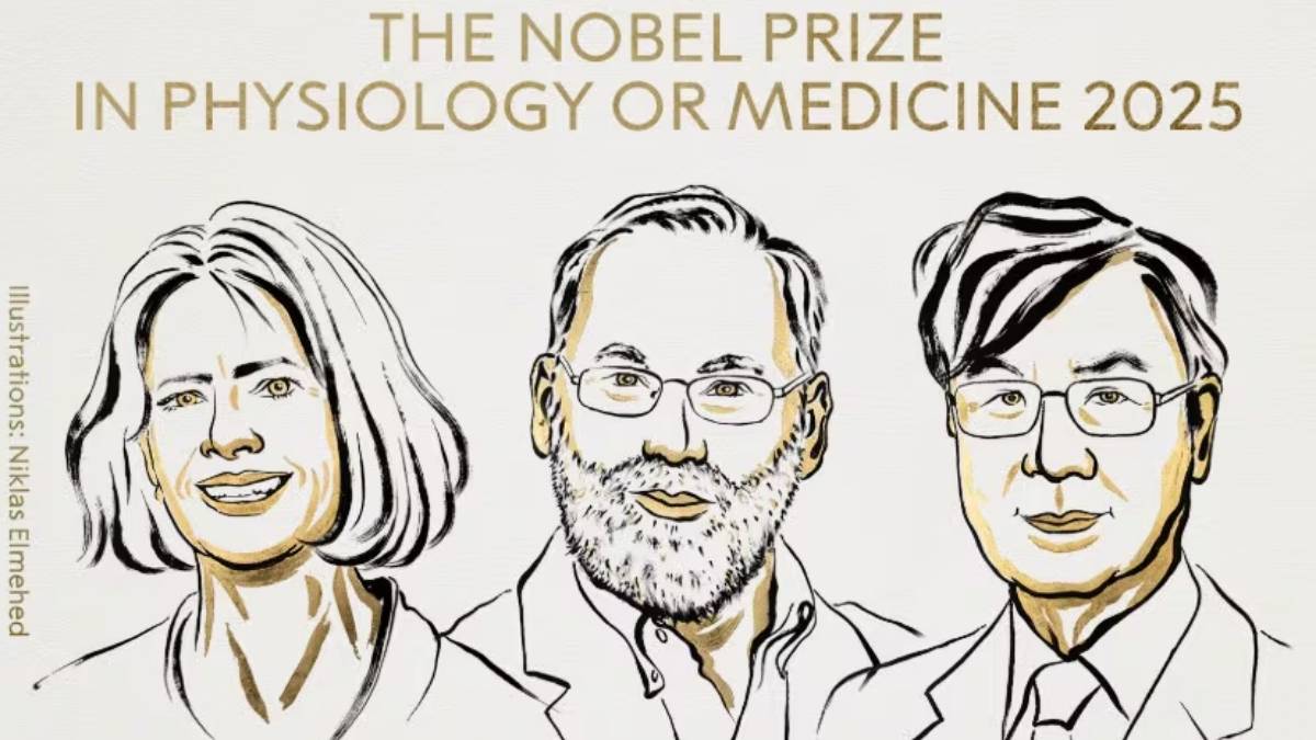 Ganadores del premio Nobel de Medicina 2025 descubrieron las celulas T reguladoras