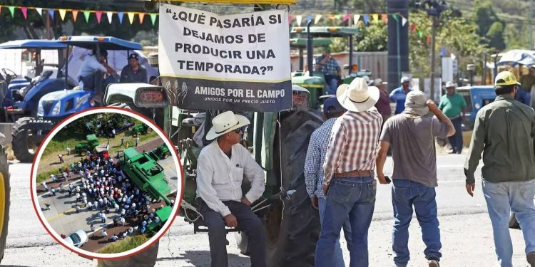 Gobierno anuncia precio del maiz de 6 mil 050 pesos agricultores protestan