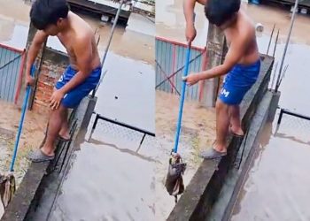 Joven arriesga su vida para rescatar a un gatito durante las inundaciones en Veracruz