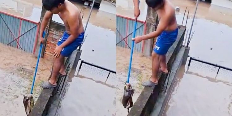 Joven arriesga su vida para rescatar a un gatito durante las inundaciones en Veracruz