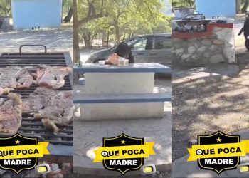 Osos sorprenden a familia durante carne asada en Nuevo León