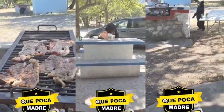 Osos sorprenden a familia durante carne asada en Nuevo León