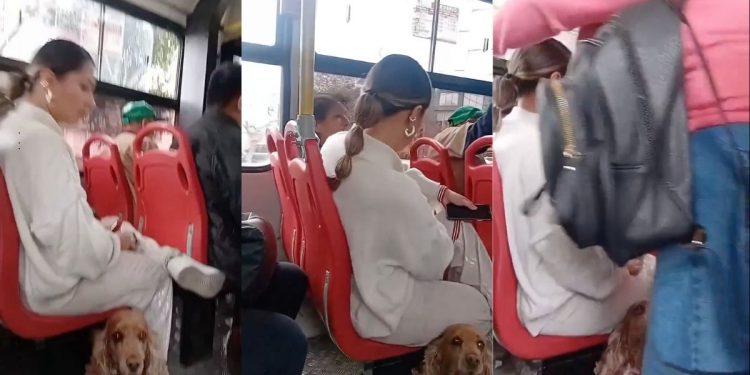 Pasajeros reclaman a mujer que viajaba con su perro