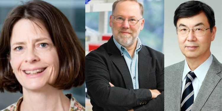 Premio Nobel de Medicina 2025 Científicos revolucionan la inmunologia