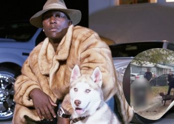 Tyrese Gibson se entrega a la policía por crueldad animal