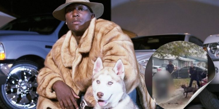 Tyrese Gibson se entrega a la policía por crueldad animal