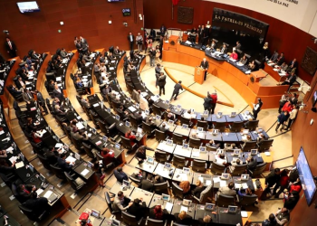 Donación Senado damnificados lluvias: Los tráileres con despensas, el papel del Senado y cómo ayudar a afectados por lluvias