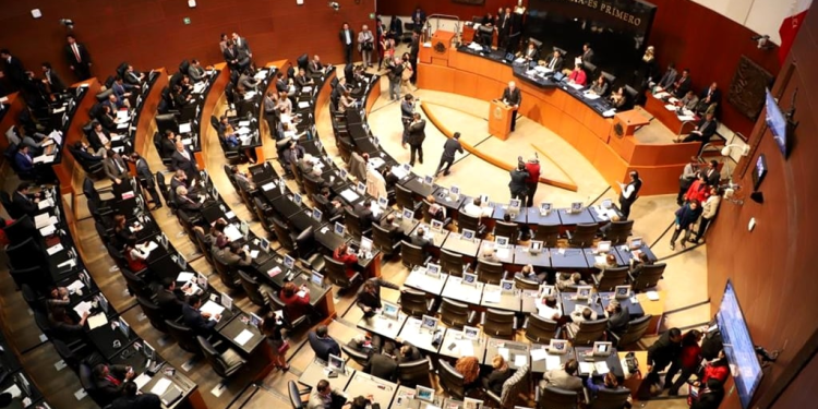 Donación Senado damnificados lluvias: Los tráileres con despensas, el papel del Senado y cómo ayudar a afectados por lluvias