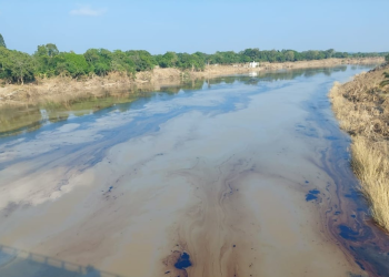 Derrame de Hidrocarburos en Río Pantepec: Crisis Ambiental en Veracruz
