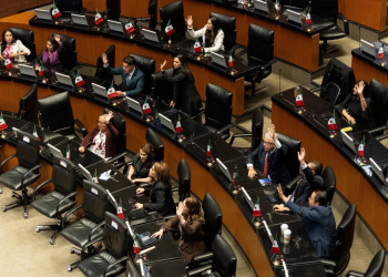 Impulsan el Registro Nacional de Personas con Talla Baja: Un Paso hacia la Igualdad