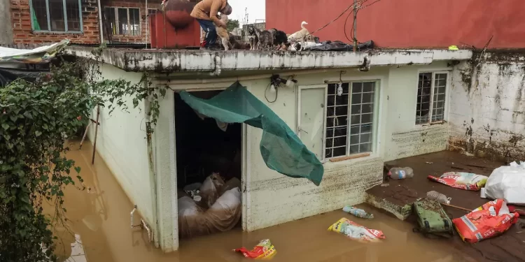 Inundaciones dejan al menos 44 fallecidos en Veracruz, Puebla, Hidalgo y Querétaro