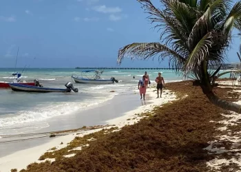 Ocho playas del Caribe Mexicano sufren sargazo excesivo
