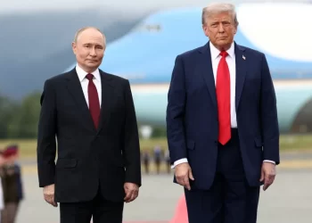 Trump y Putin planean encuentro en Hungría por paz en Ucrania